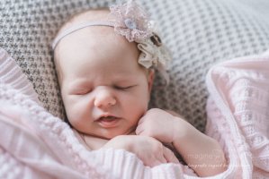 Galerie - Neugeborene - eine kleine Zaubermaus