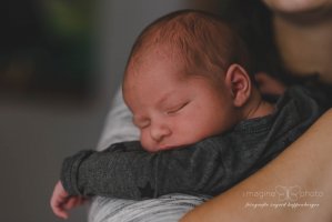 Galerie - Neugeborene - Zweites kleines Wunder
